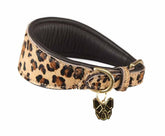 Shires Digby & Fox Print Cow Hair Greyhound Collar