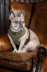 Shires Digby & Fox Tweed Dog Harness