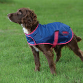Weatherbeeta Comfitec Windbreaker Free Dog Coat