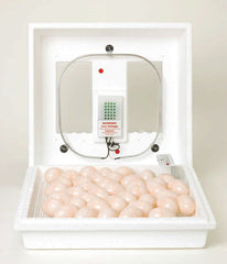 Little Giant Circulated Air Incubator