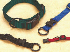 Hamilton Adjustable Dog Collar