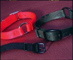 Safe-Rite Dog Collar With Tape 1 X22 Orange