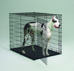 MidWest XXLarge Dog Crate