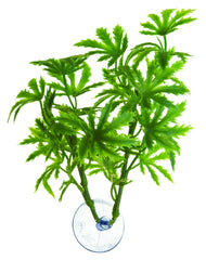 ZooMed Betta Papaya Plant