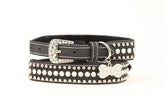 Blazin Roxx Bling Tapered Dog Collar