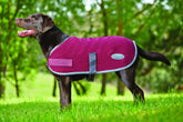 Weatherbeeta Fleece Dog Coat