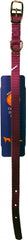 Nylon Dog Collar 3/8x12 Purple