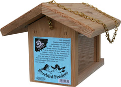 Bluebird Feeder 11.75X9X8 In