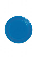 Weaver Flying Disc Average Blue