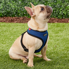 Puppia Soft Dog Harness