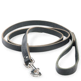 Latigo Dog Lead