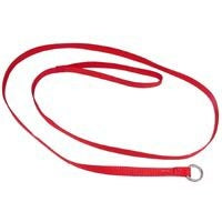 Kennel Lead