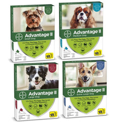 Advantage 2 Dog