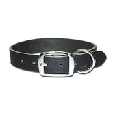 Premium Latigo Leather Dog Collar