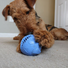 Jolly Pets Monster Ball