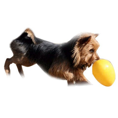 Jolly Pets Jolly Egg
