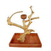 Java Wood Table Top Play Stand