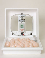 Little Giant Circulated Air Incubator