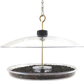 Covered Platform Feeder 14.75in Clear