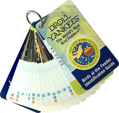 Droll Yankees Bird Feeder Identification Guide