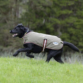 Weatherbeeta ComFiTec Premier Free Parka Dog Coat