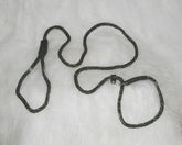 Polyrope Dog Quick Lead Combo 5/16 X6 Green/Tan
