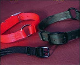 Safe-Rite Dog Collar With Tape 1 X26 Orange