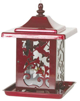 Hummingbird Seed Feeder Red