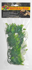 Plant Malaysian Fern Medium Green