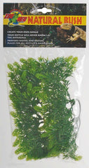 Plant Malaysian Fern Small Green