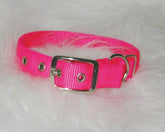 Hamilton Deluxe Double Thick Nylon Dog Collar