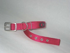 Hamilton Durable Double Thick Nylon Dog Collar