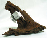 Malaysian Driftwood