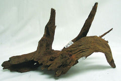 Malaysian Driftwood