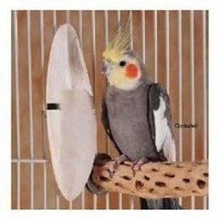 Prevue Medium 5 inch Cuttlebone
