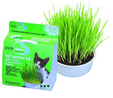 Oat Cat Grass Garden Kit