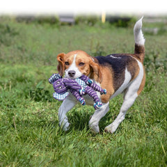 KONG Floppy Knots Elephant