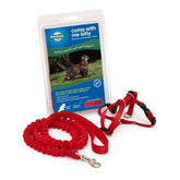 Petsafe Come With Me Kitty Harness & Bungee Leash