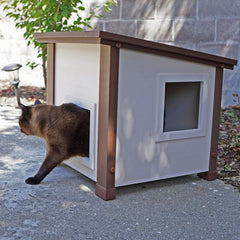 Albany Feral Cat Shelter