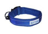 Baydog Tampa Bay Dog Collar