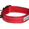 Baydog Tampa Bay Dog Collar