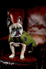 Shires Digby & Fox Tweed Dog Coat