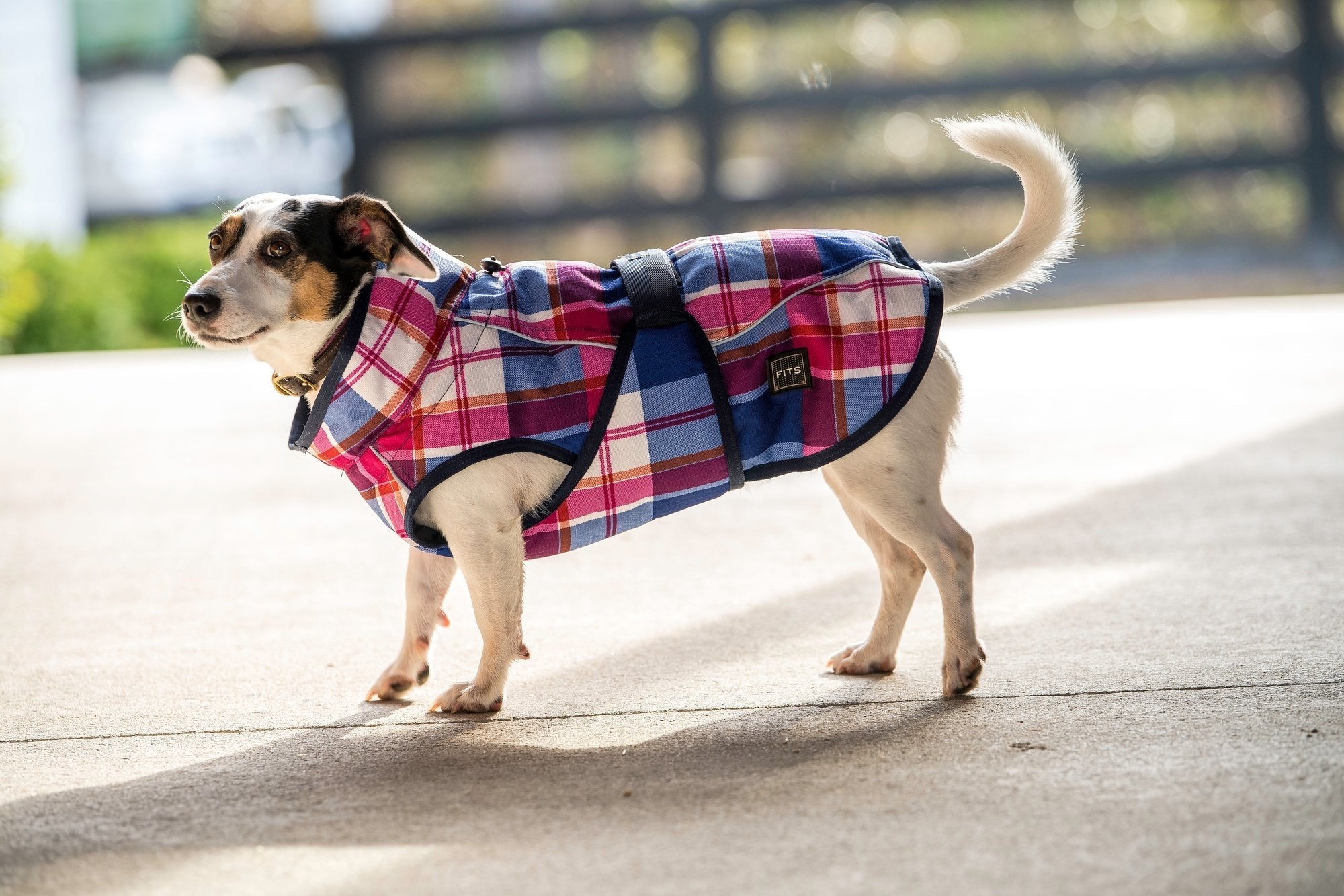 FITS All Weather Dog Coat