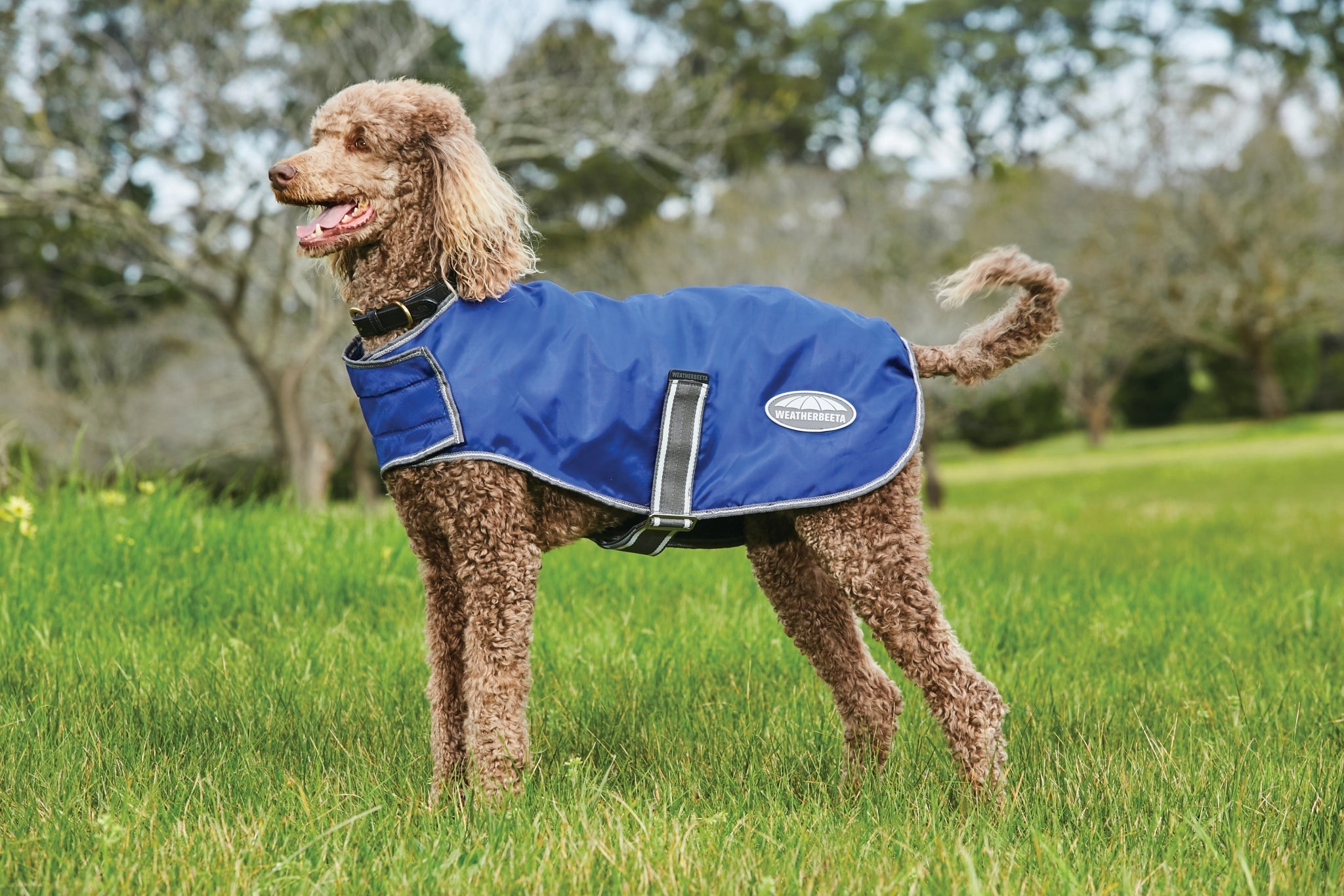 Weatherbeeta ComFiTec Windbreaker Free Parka Dog Coat