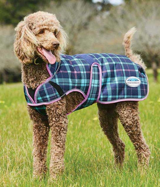 Weatherbeeta ComFiTec Premier Free Parka Deluxe Dog Coat