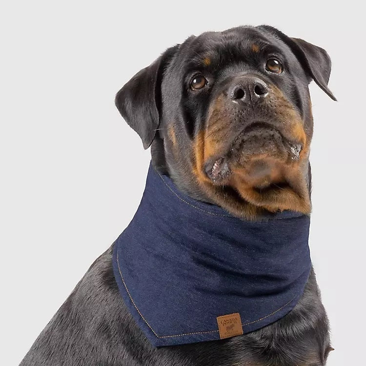 Canada Pooch The Worker Dog Bandana