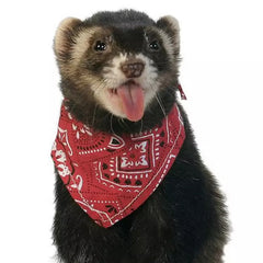 Marshall Ferret Bandana