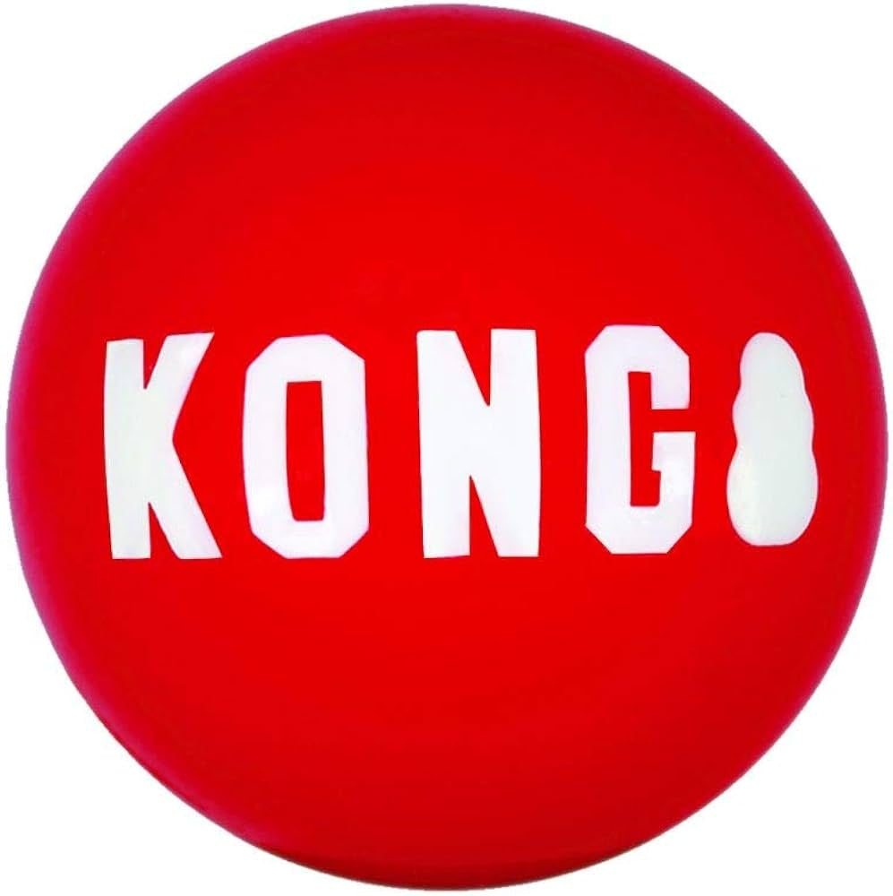 KONG Signature Ball Dog Toy