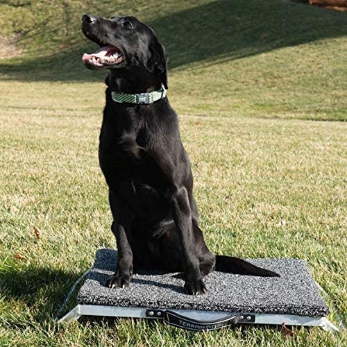 Weaver Terrain D.O.G. Pet Place Board 24In X 24In