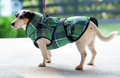 FITS All Weather Waterproof Dog Coat